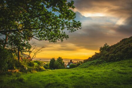 Golden sunset over a grassy countryside Countryside sunset with trees and fields